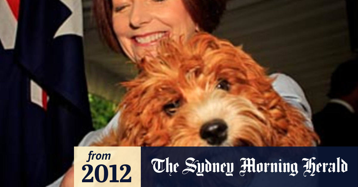 Top dog shows his colours